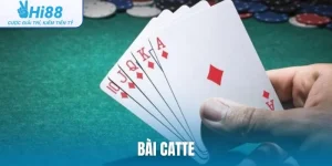 Bài Catte