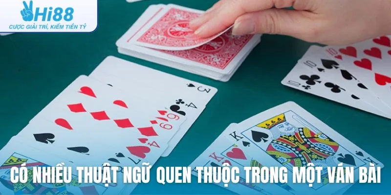 Có nhiều thuật ngữ quen thuộc trong một ván bài Cát Tê