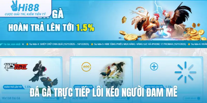 Đá gà trực tiếp dần lôi kéo người đam mê quay trở lại