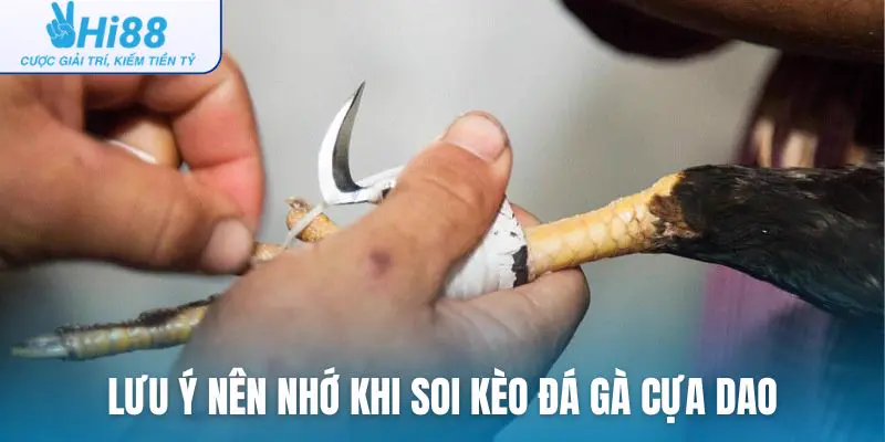 Lưu ý nên nhớ khi chơi soi kèo đá gà cựa dao trực tuyến